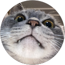 杉原菜月 profile picture