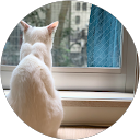 マルさんカク profile picture