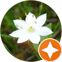 桃色顔 profile picture