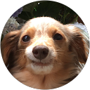 マツオム profile picture