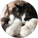 月原実衣 profile picture