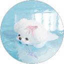 sn x profile picture