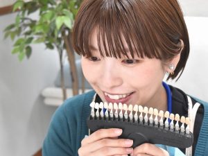 歯の役割とは